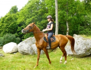  Sensaciones de equitación 